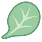 spinaci icon