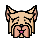 Yorkshire Terrier icon