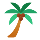 ココの木 icon