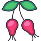 Rosehip icon