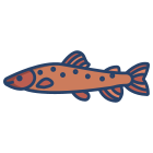 Trout Fish icon