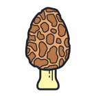 Morel Mushroom icon