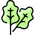 Rhubarb icon