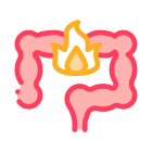 Intestinal Pain icon
