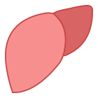 Liver icon