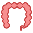 大肠 icon