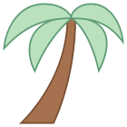 Palm Tree icon