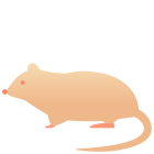 Rat icon