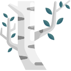 Birch Tree icon