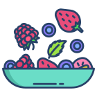 Berries icon