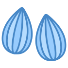 Almond icon