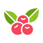 Berries icon