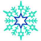 Flocon de neige icon