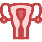 Uterus icon