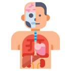 Human Organs icon