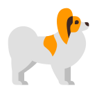 papillon-dog icon