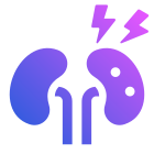 Kidneys icon