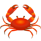 crabe- icon