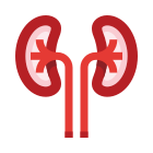 Kidneys icon