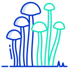 Enokitake Mushrooms icon