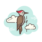 啄木鸟 icon