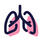 Lungs icon