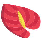 Anthurium icon