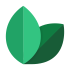 Cibo naturale icon