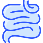 Small Intestine icon