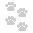 Animal icon