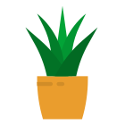 阳光下的植物 icon