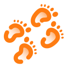 Baby Footprint icon