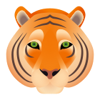 visage de tigre icon