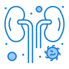 Kidneys icon