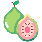 Guava icon