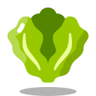 Salade icon