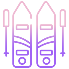 Ski Poles icon