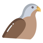 Falcão icon