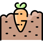 Carota icon