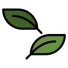 Eco icon