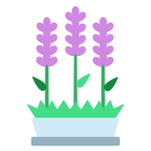 Lavender icon