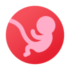 Embryo icon