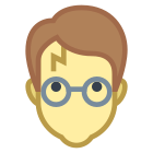 Harry Potter icon