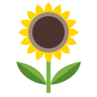 Sunflower icon