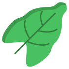 Leaf icon