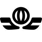 The International Air Transport Association is a trade association of the world's airlines icon