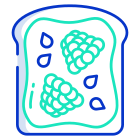 Raspberry Toast icon