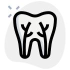 Teeth root canal connected to gum isolated on a white background icon