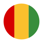 Guinea-Rundschreiben icon
