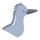 Roadrunner icon